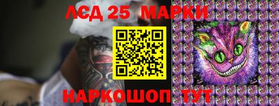 бошки Кимры