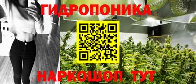 бошки Кимры