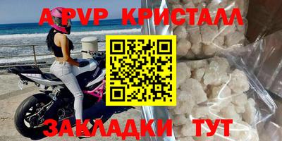 герыч Кингисепп