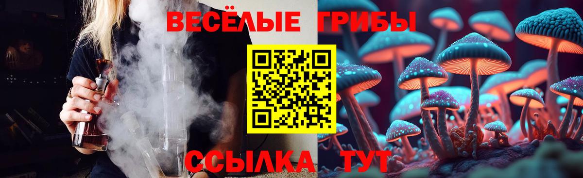 где продают наркотики  Галлюциногенные грибы прущие грибы  Вход с VPN  Ливны 